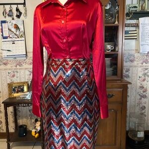 Sequin Chevron Skirt with 3 satin button downs
